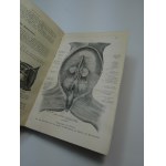 Martin Lehrbuch der Anatomie der Haustiere Weterynaria