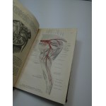 Martin Lehrbuch der Anatomie der Haustiere Weterynaria