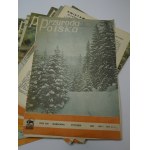 Nature Poland Yearbook 1969
