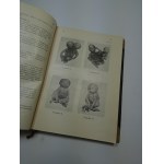 Folia Morphologica 1934 1935 Vol. V