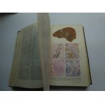 Great Medical Encyclopedia Большая медицинская энциклопедия