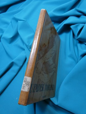 The fall of Tobias / Włodzimierz Odojewski ; illustrated by Alexander Winnicki.