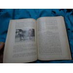 Allgemeine Tierzucht Kronacher 1921 ein Lehr- und Handbuch für Studierende und Züchter