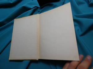 In pursuit of MWE / Kamil Giżycki ; illustrated by Konstanty Sopoćko.