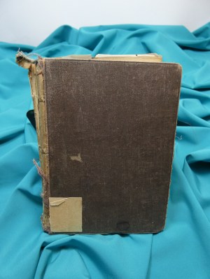 Patologická anatomie Hornowski 1924
