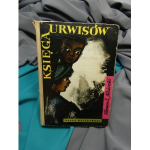 Księga urwisów / Edmund Niziurski ; [il. Stefan Gierowski].