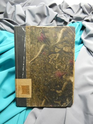Uzbek and Tajik fairy tales / compiled by. Eleonora Slobodnikova ; ill. Ignacy Witz.