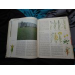 Polska moja Ojczyzna : encyklopedia dla dzieci / [aut. tekstów Stanisław Aleksandrzak et al. ; kol. red. Janusz Maruszewski et al.].