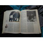 Polska moja Ojczyzna : encyklopedia dla dzieci / [aut. tekstów Stanisław Aleksandrzak et al. ; kol. red. Janusz Maruszewski et al.].