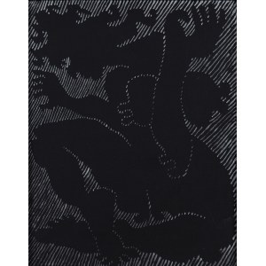 Jan Dobkowski (ur. 1942, Łomża), Karnawał w Rio, 1998