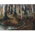 Adolf Kaufmann, Neplachovice 1848 - 1916 Vienna
