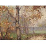 Unknown artist around 1900/20, Forest Landscape