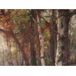 Unknown artist around 1900/20, Forest Landscape