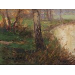 Unknown artist around 1900/20, Forest Landscape