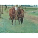 Unknown painter of the 20th century, Racecourse