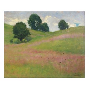 Unknown artist, 20th century