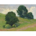 Unknown artist, 20th century