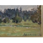 Piotr Ivanovich Petrovichev, Russia, 1874 - 1947