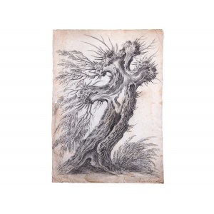 Unknown painter, Tree study