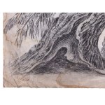 Unknown painter, Tree study
