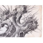 Unknown painter, Tree study