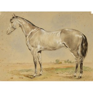 Horse portrait, Watercolor