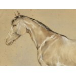 Horse portrait, Watercolor