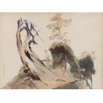 Johann Matthias Ranftl, Wieden 1804 - 1854 Wieden