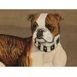 Bulldogs, Watercolor on cardboard