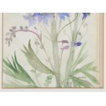 Painters of the 20th century, Mallows