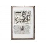 Book page with map of the island of Elba