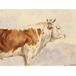 Pusterwald cattle, Watercolor