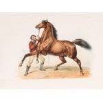 Victor Adam, Paris 1801 - 1866 Viroflay near Paris, Follower of