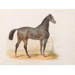 Victor Adam, Paris 1801 - 1866 Viroflay near Paris, Follower of
