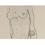Collotype on paper, from the portfolio Egon Schiele, 1917