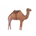 Camel, Around 1880/1900