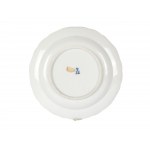 Plate, Meissen design
