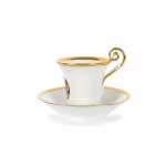 Cup with saucer, Design Nympenburg