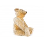 Teddy, Steiff brand