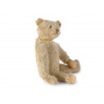 Teddy, Steiff brand