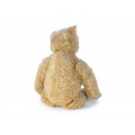 Teddy, Steiff brand