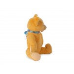 Teddy, Brand Fechter