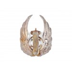 Air Force badge, Carol II.