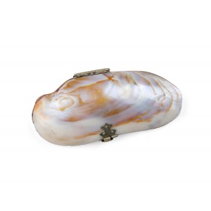 Wallet in the shape of a shell, Around 1900