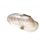 Wallet in the shape of a shell, Around 1900