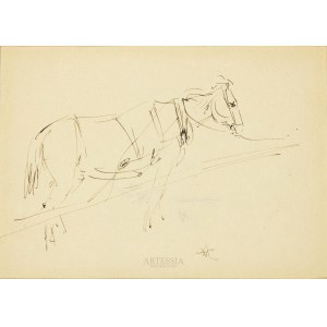 Wlastimil Hofman (1881-1970), Study of a Horse