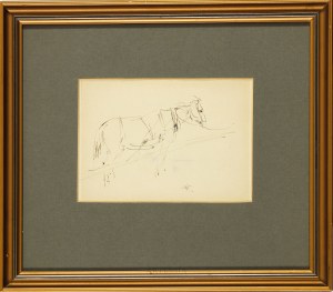 Wlastimil Hofman (1881-1970), Studie koně