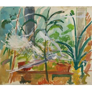 Paweł Taranczewski (Ur. 1940), Kwiaty w donicach w oknie