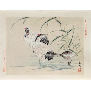 Matsumura Keibun (1779 - 1843, Kyoto), Gru, pubblicato da Aoki Kôsaburô, Giappone/Osaka, 1892.