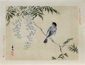 Matsumura Keibun (1779 - 1843, Kioto), Ptaszek i wisteria, wyd. Aoki Kôsaburô, Japonia/Osaka, 1892